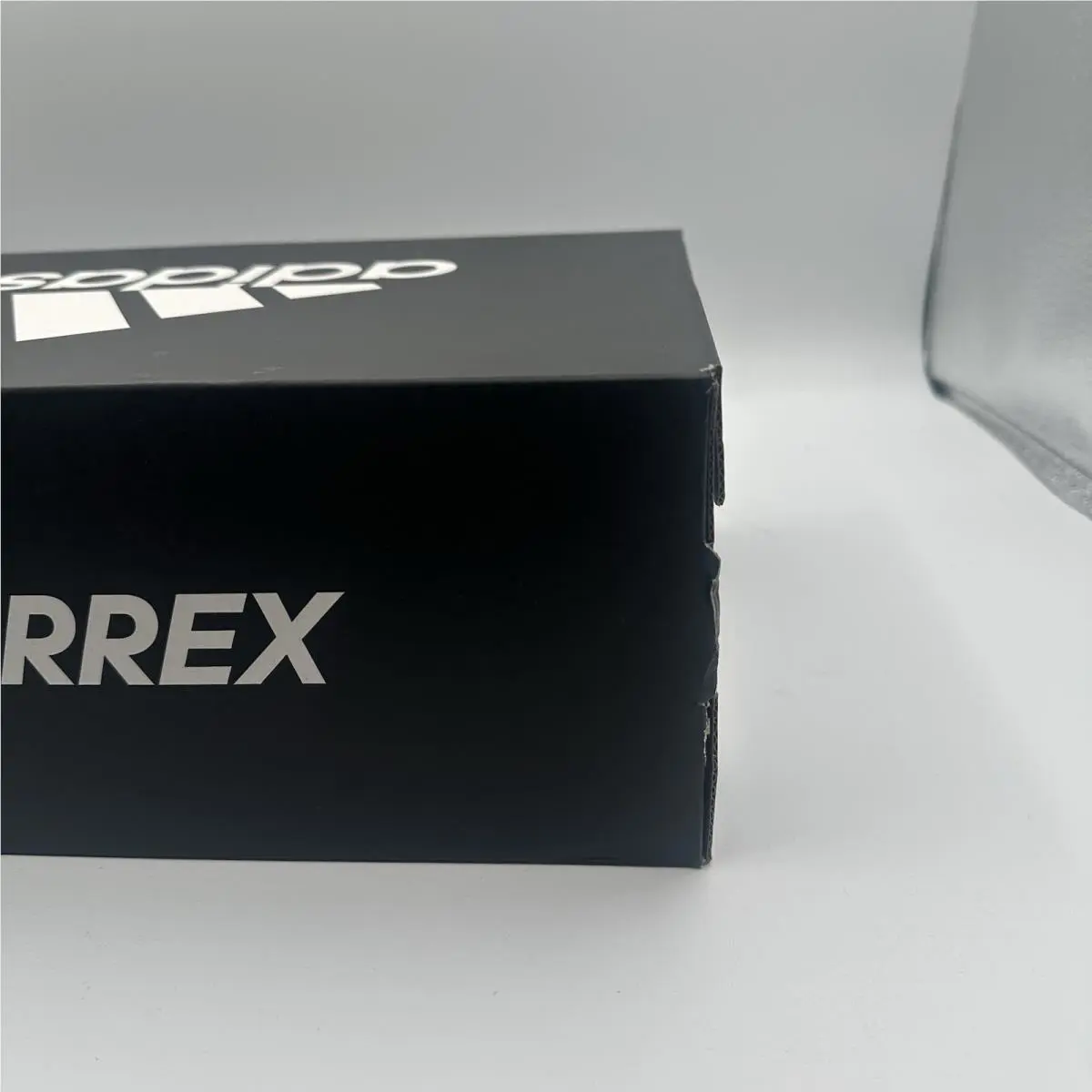 Adidas shoes - adidas TERREX Two - TERREX Two - BB7742 - White 10