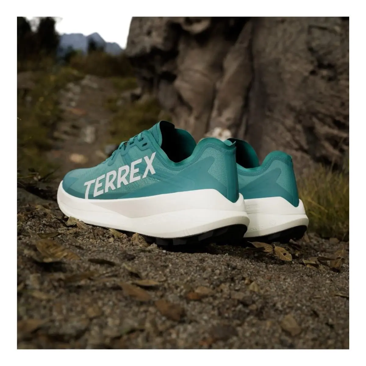 Adidas shoes - Adidas Terrex Agravic Speed - Terrex Agravic Speed - JR5239 - Teal 13