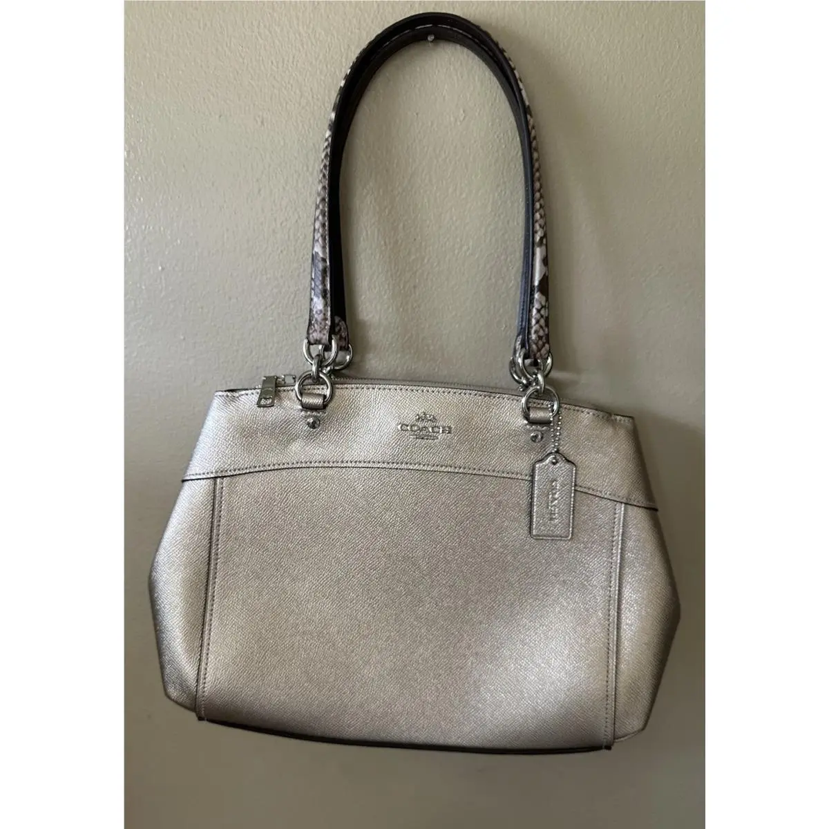 Coach Brooke Carryall F38880 Sv/platinum Color
