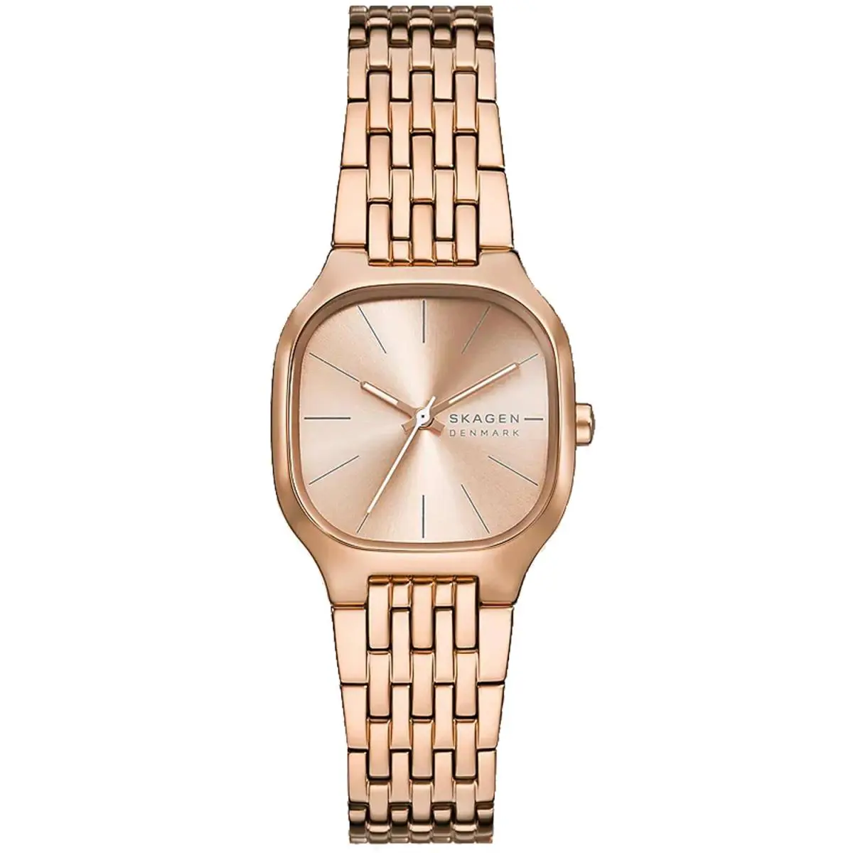 Skagen Ladies Mellem Lille Watch