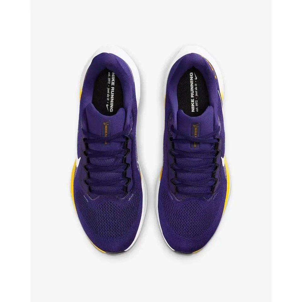Nike shoes - Nike Air Zoom Pegasus 41 - IB3248 500 - Purple 1