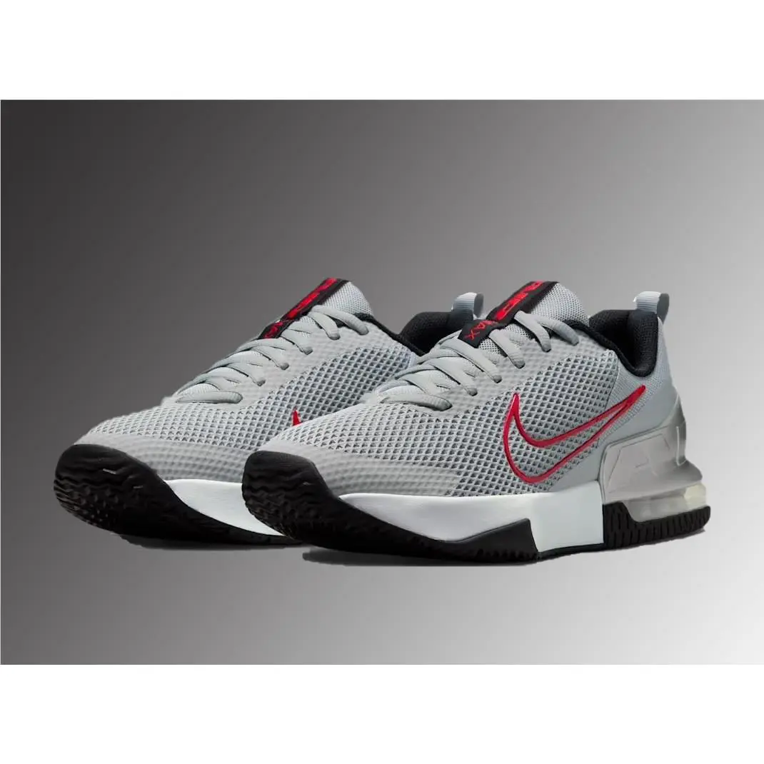 Nike shoes - Nike Air Max Alpha - Air Max Alpha - FQ1833-011 - Flat Silver/Metallic Silver/Black/University Red 1