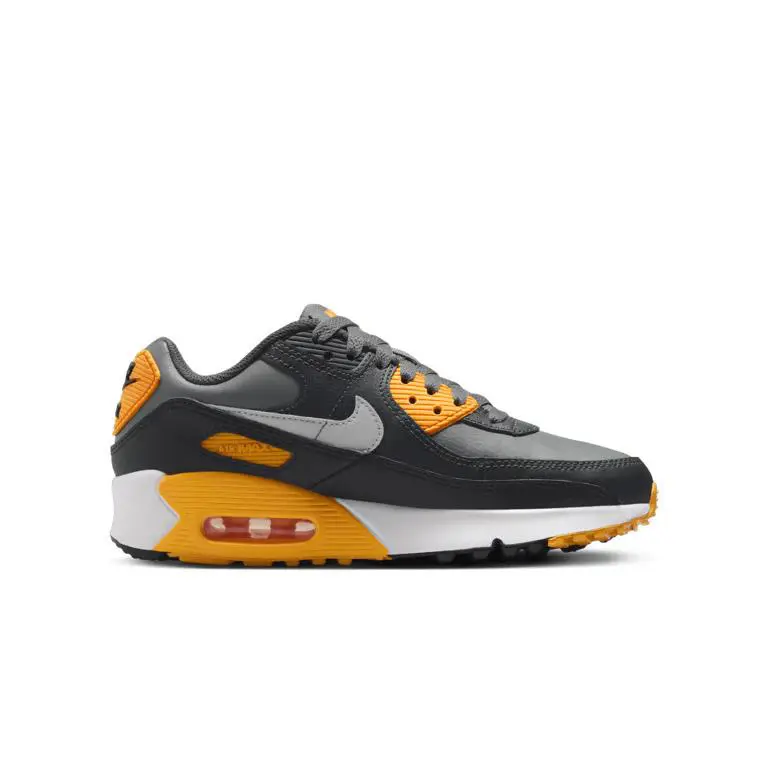 Nike shoes - Nike Air Max 90 - Air Max - Gray 0