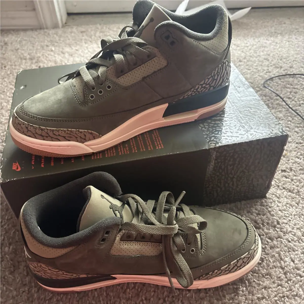 Nike shoes - Air Jordan 3 - Air - DN3707-202 - Green 0
