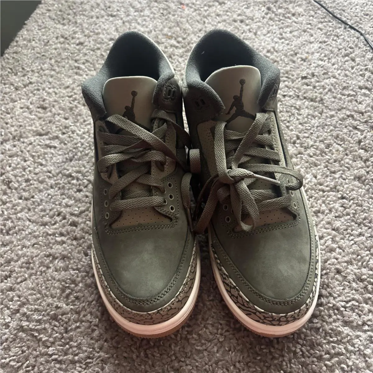 Nike shoes - Air Jordan 3 - Air - DN3707-202 - Green 2