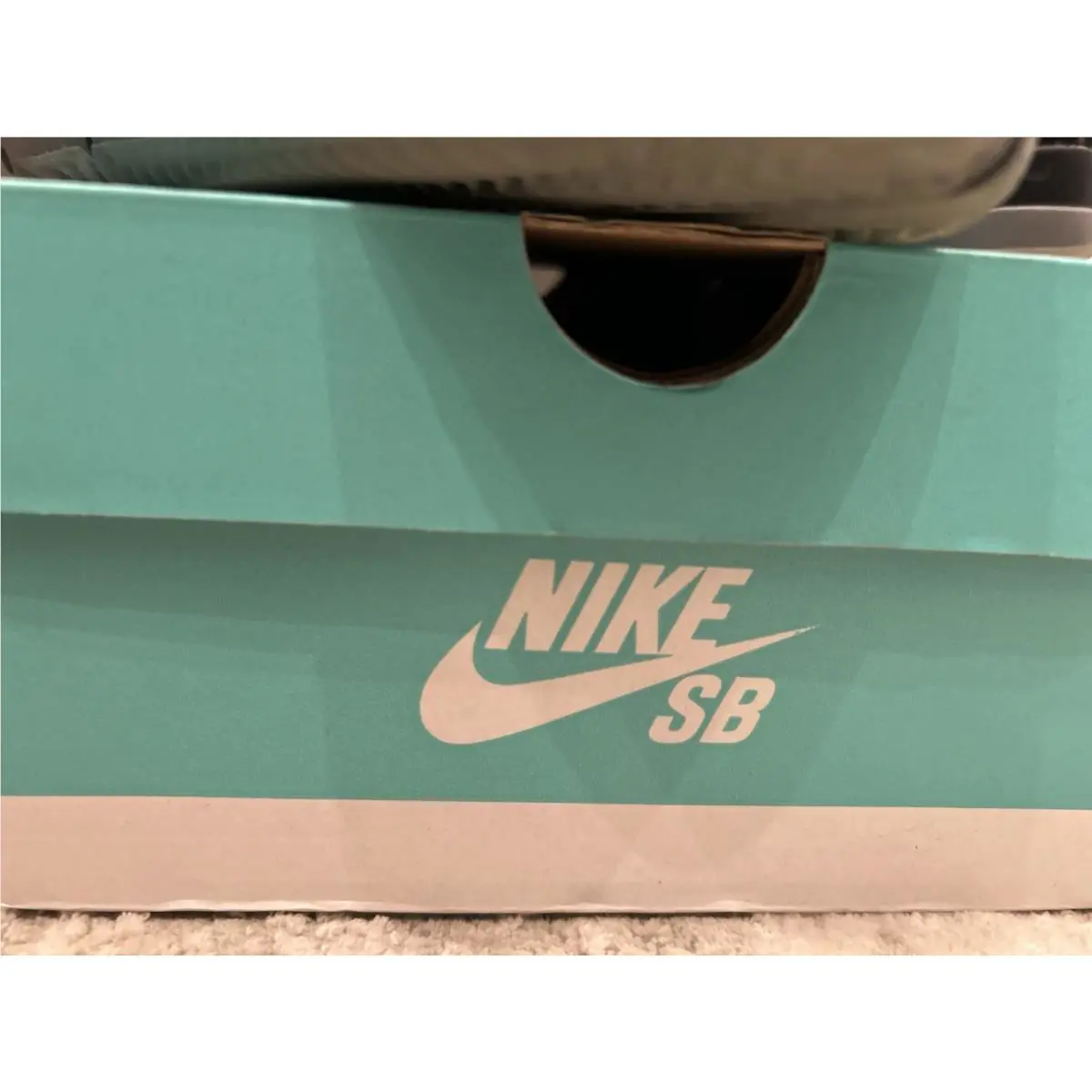 Nike shoes - Nike Free SB - Free - Black 1