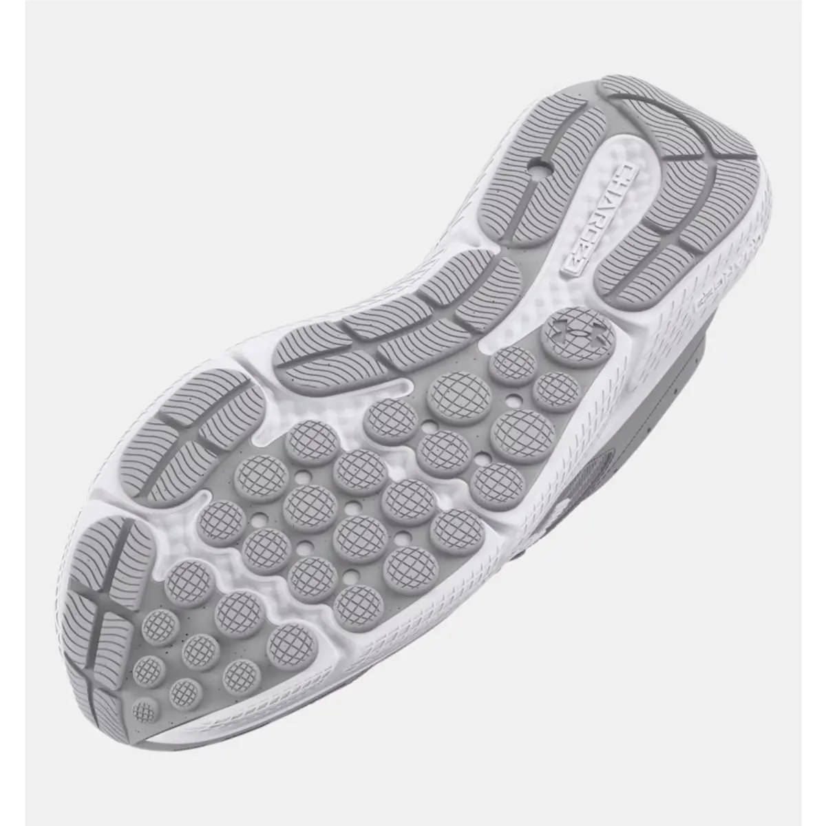 Under Armour shoes - Under Armour Charged Assert 10 - 3026176-102 - Gray & White 3