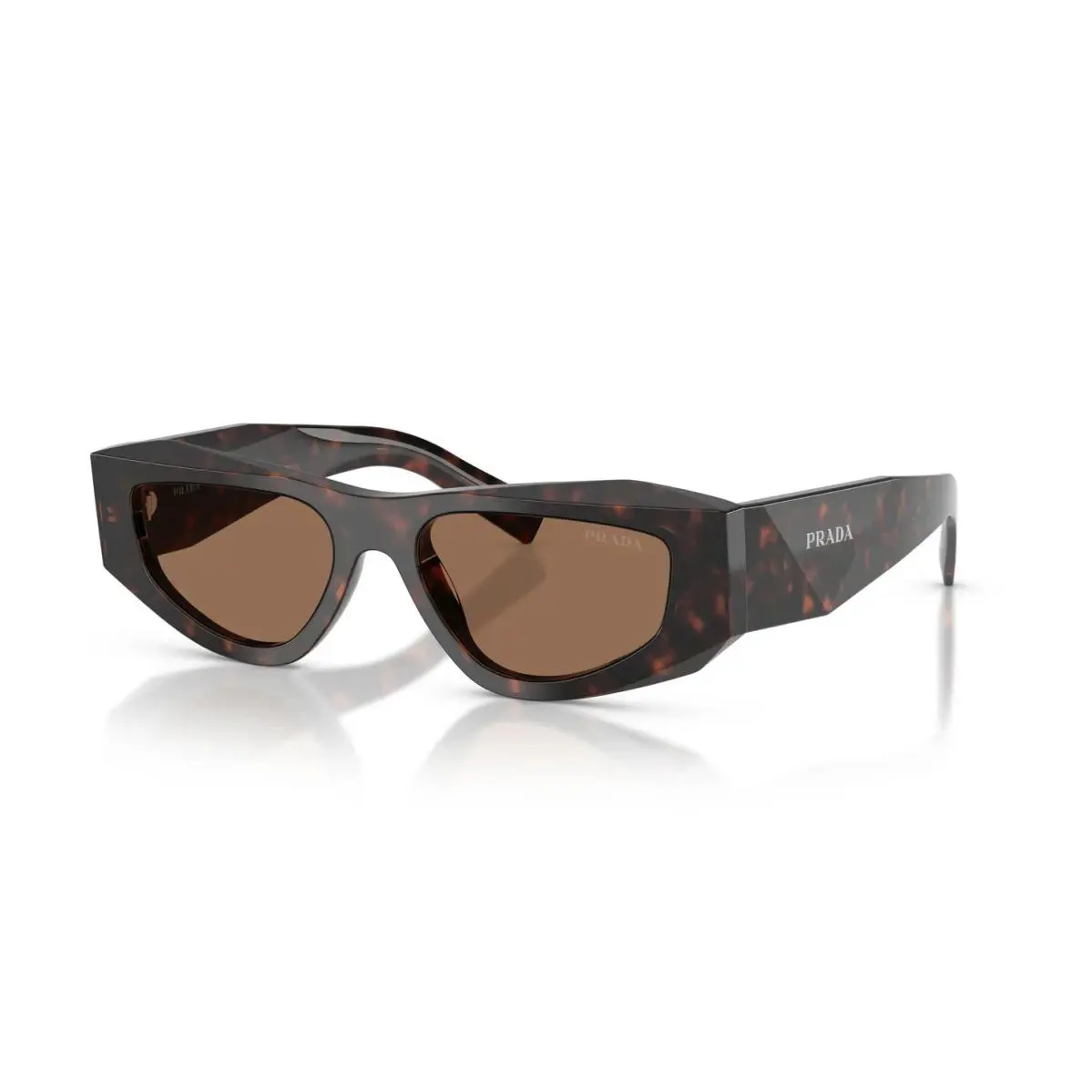 Prada PR B19S Root Tortoise/dark Brown 17N06B Sunglasses