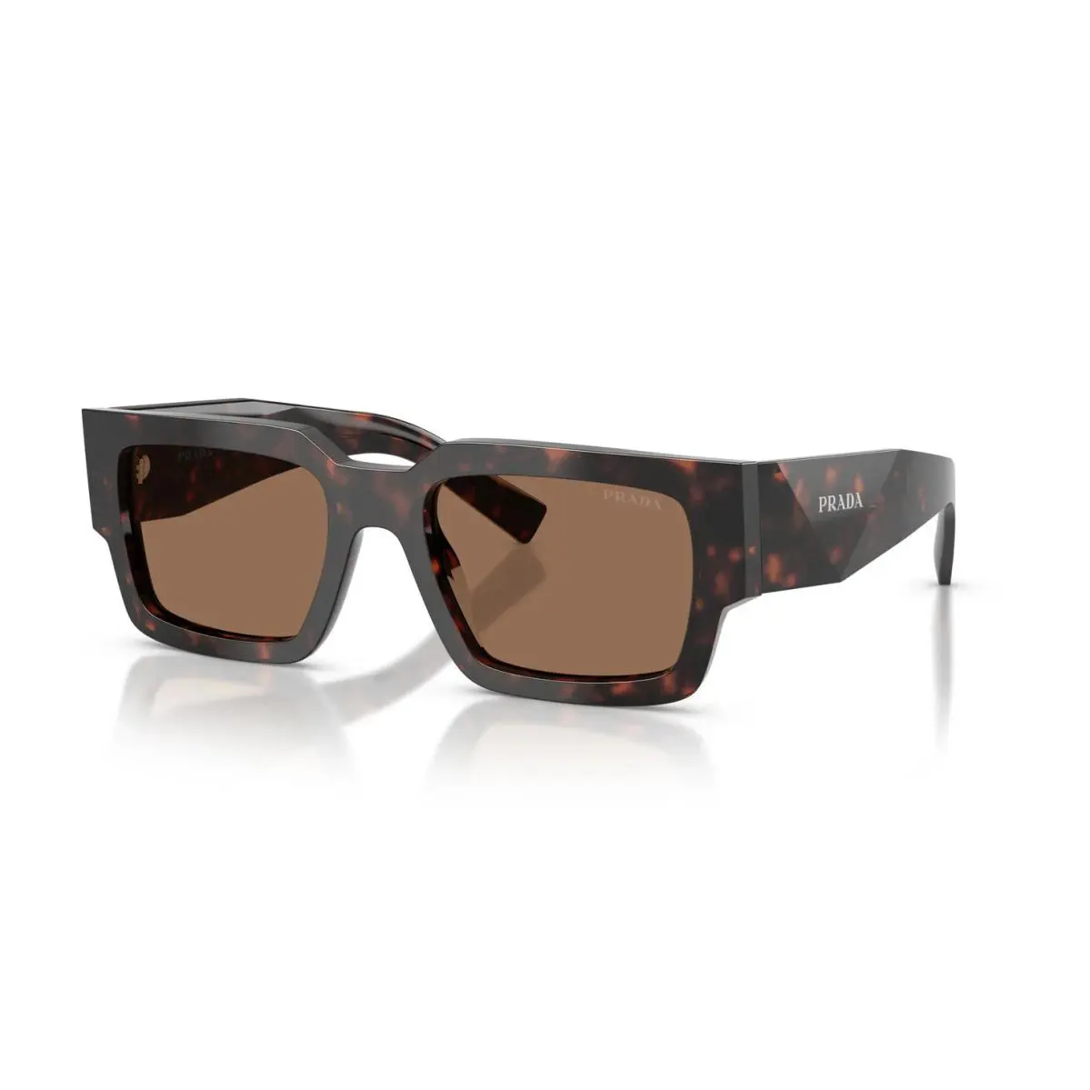 Prada PR B17S Root Tortoise/dark Brown 17N06B Sunglasses
