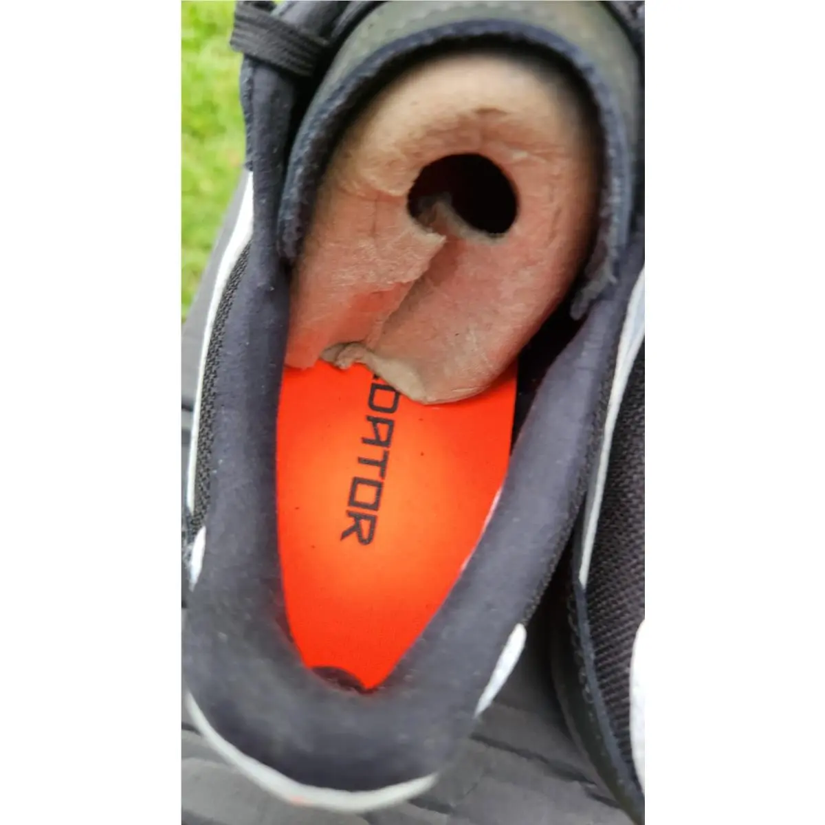 Adidas shoes - adidas Predator - Predator - White 7
