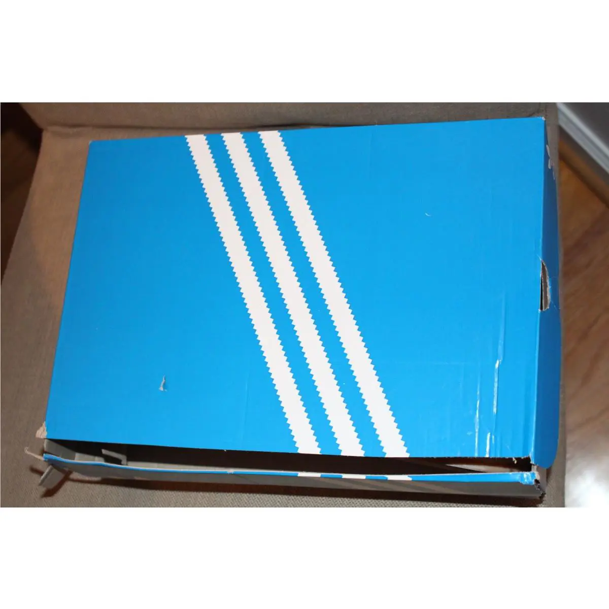 Adidas shoes - White 4