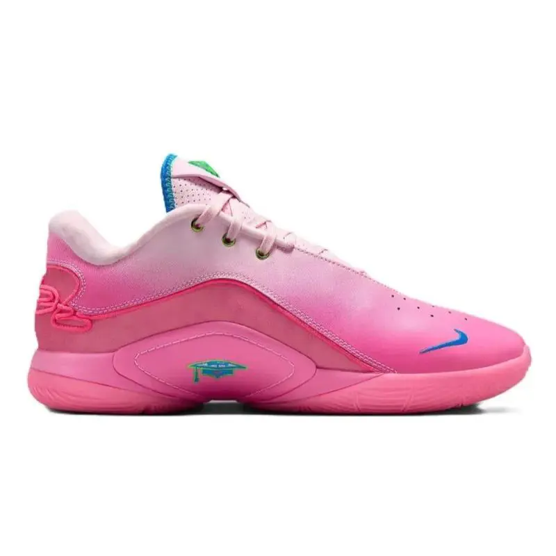 Nike shoes - Nike LeBron XXII `I Promise` - HV8455 600 - Pink Foam/Photo Blue 13