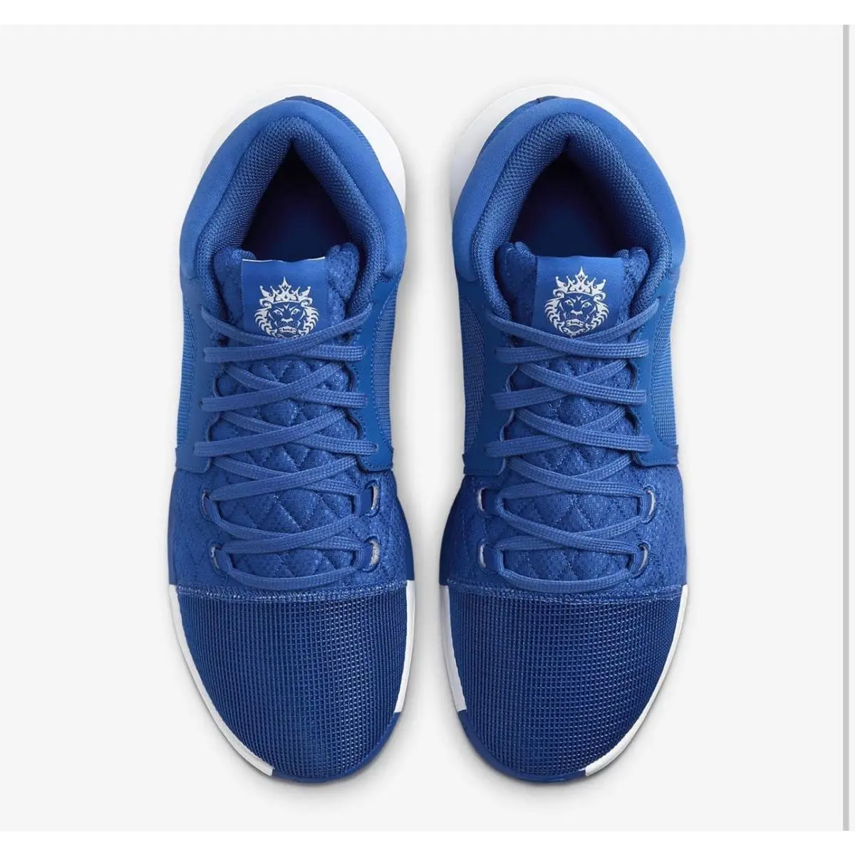 Nike shoes - Nike LeBron Witness 8 - LeBron Witness - FB9944-401 - Blue 3