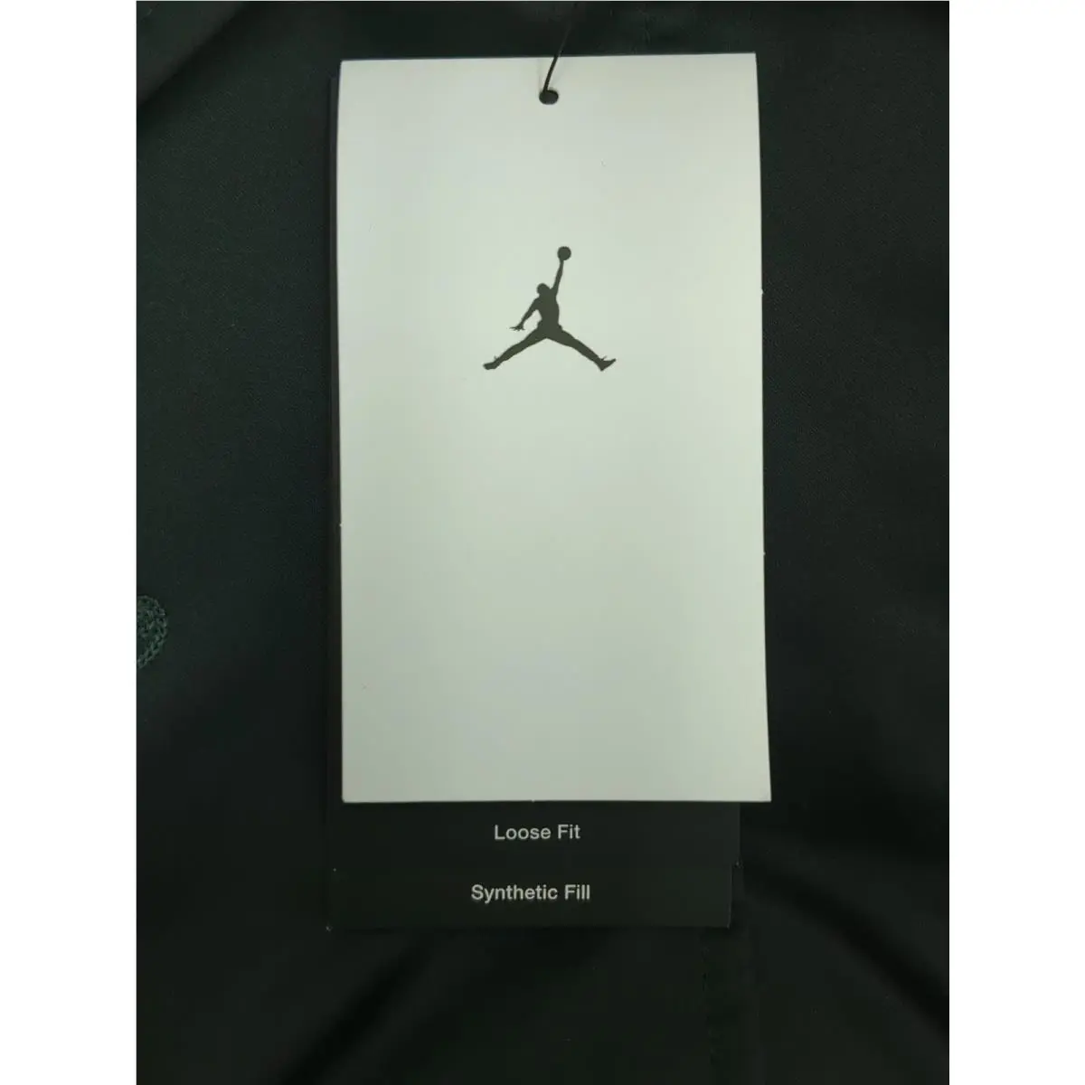 Nike clothing - FV7137-010 - FV7137-010 - Black (UPC: 197595823685) 5