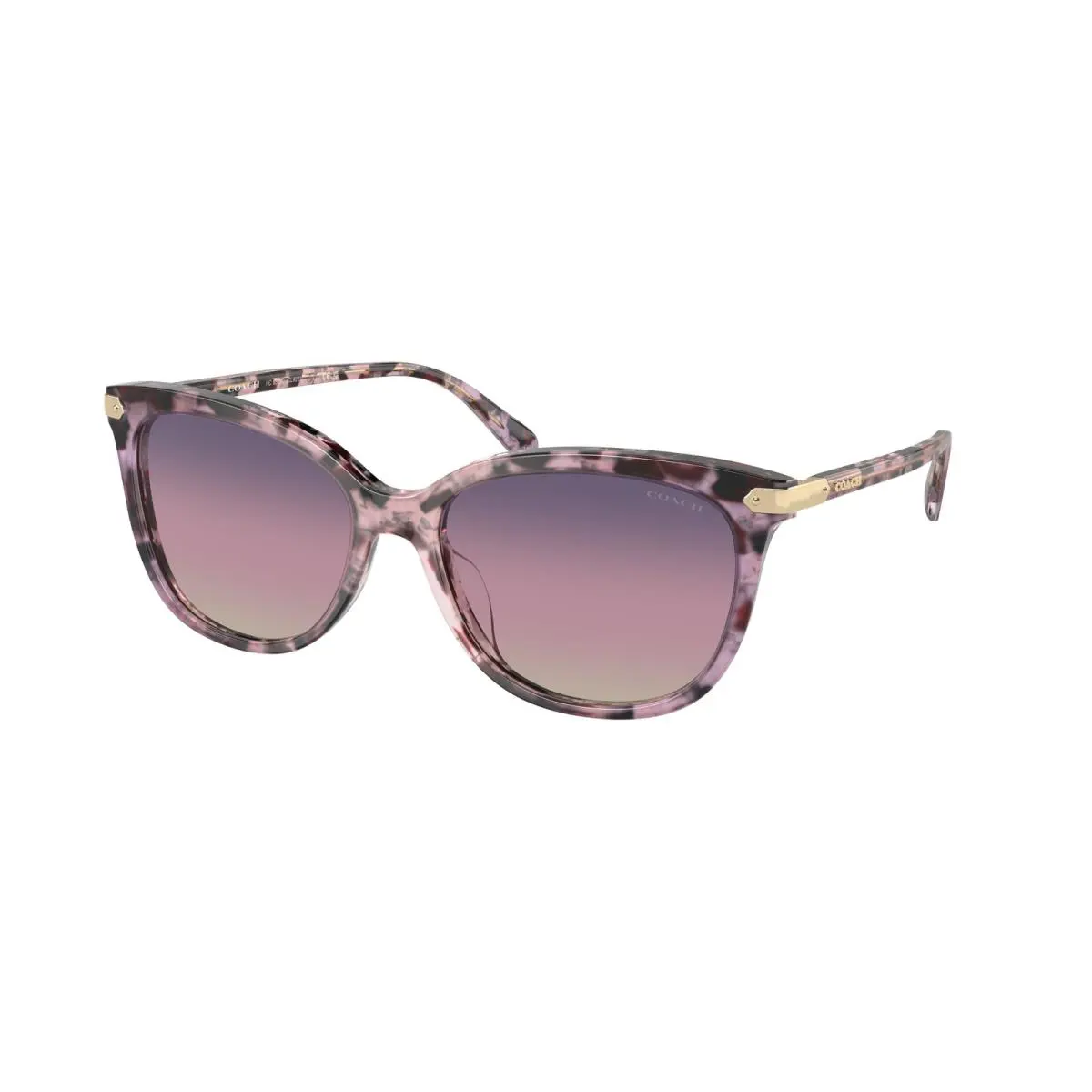 Coach HC 8378U cl926 Iris Tortoise Purple Gra 5777U6 Sunglasses