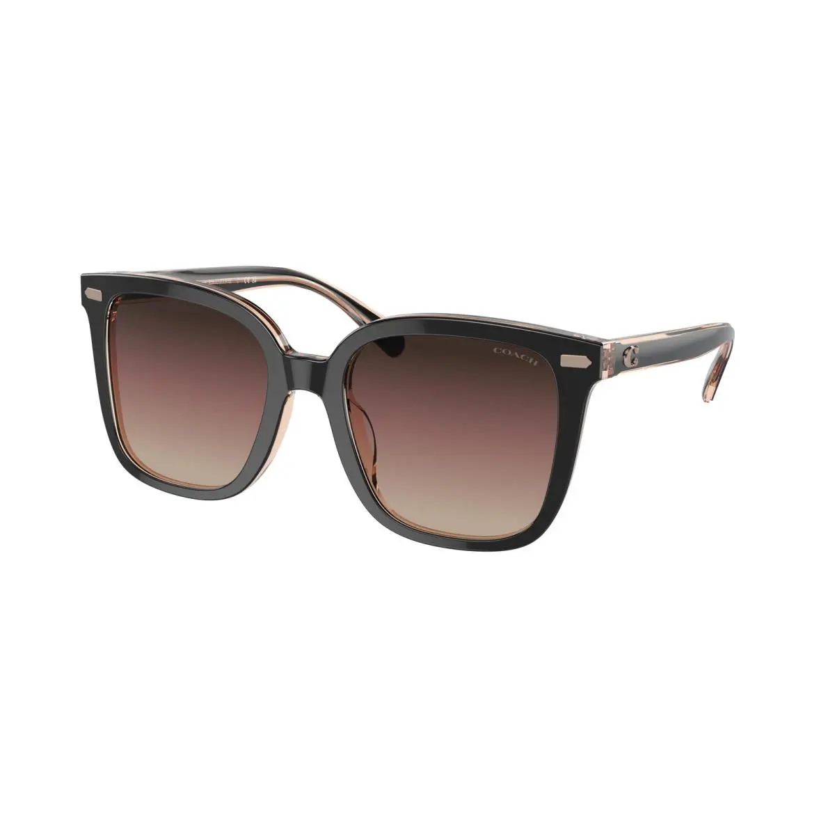 Coach HC 8381U cl918 Black Transparent Blus 5781E2 Sunglasses