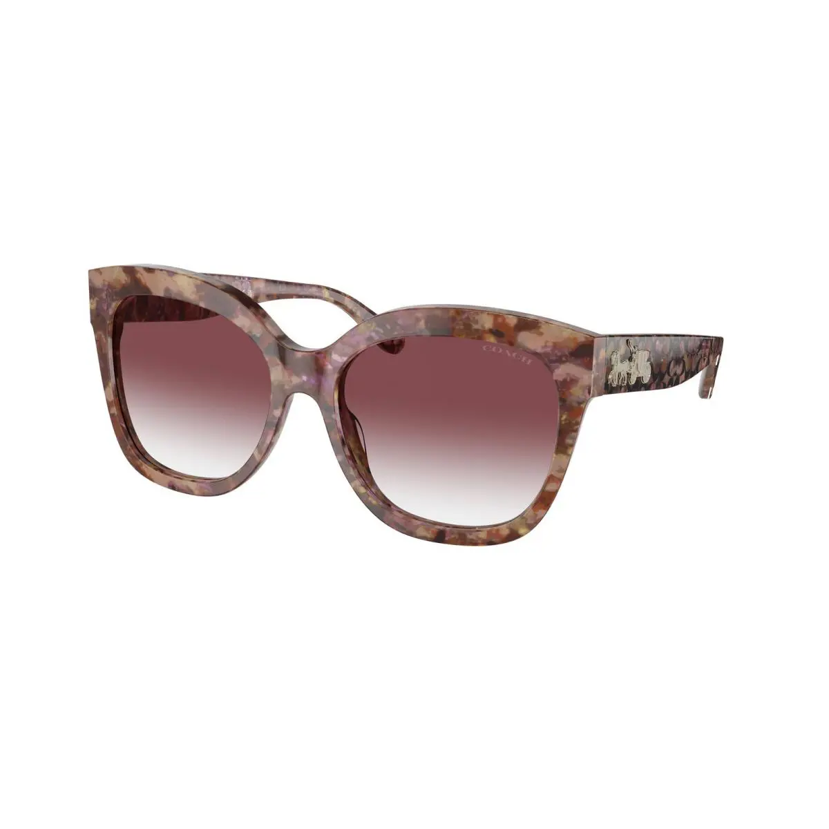 Coach HC 8264 l1083 Petal Tortoise Purple cl 57398H Sunglasses