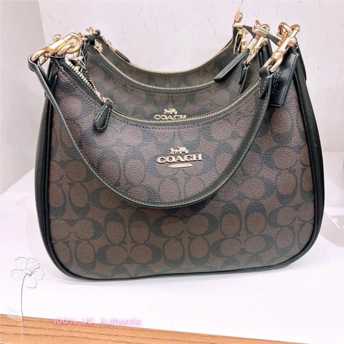 Coach Teri Hobo Bag In Signature Canvas CK161