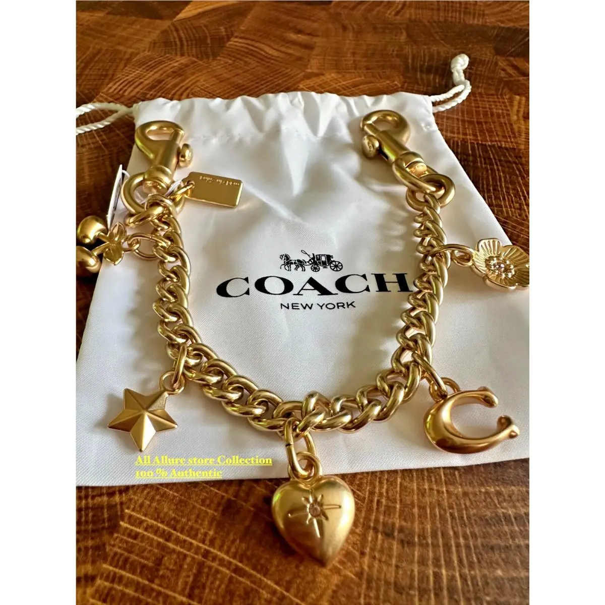 Coach Womens Swagger Chain with Charms CAX00 Gold