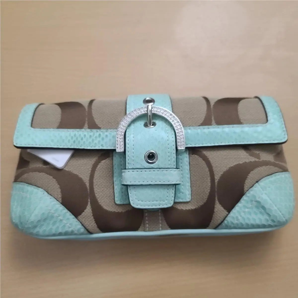 Coach 5160 Soho Python Stone Shoulder Bag Signature Green Canvas