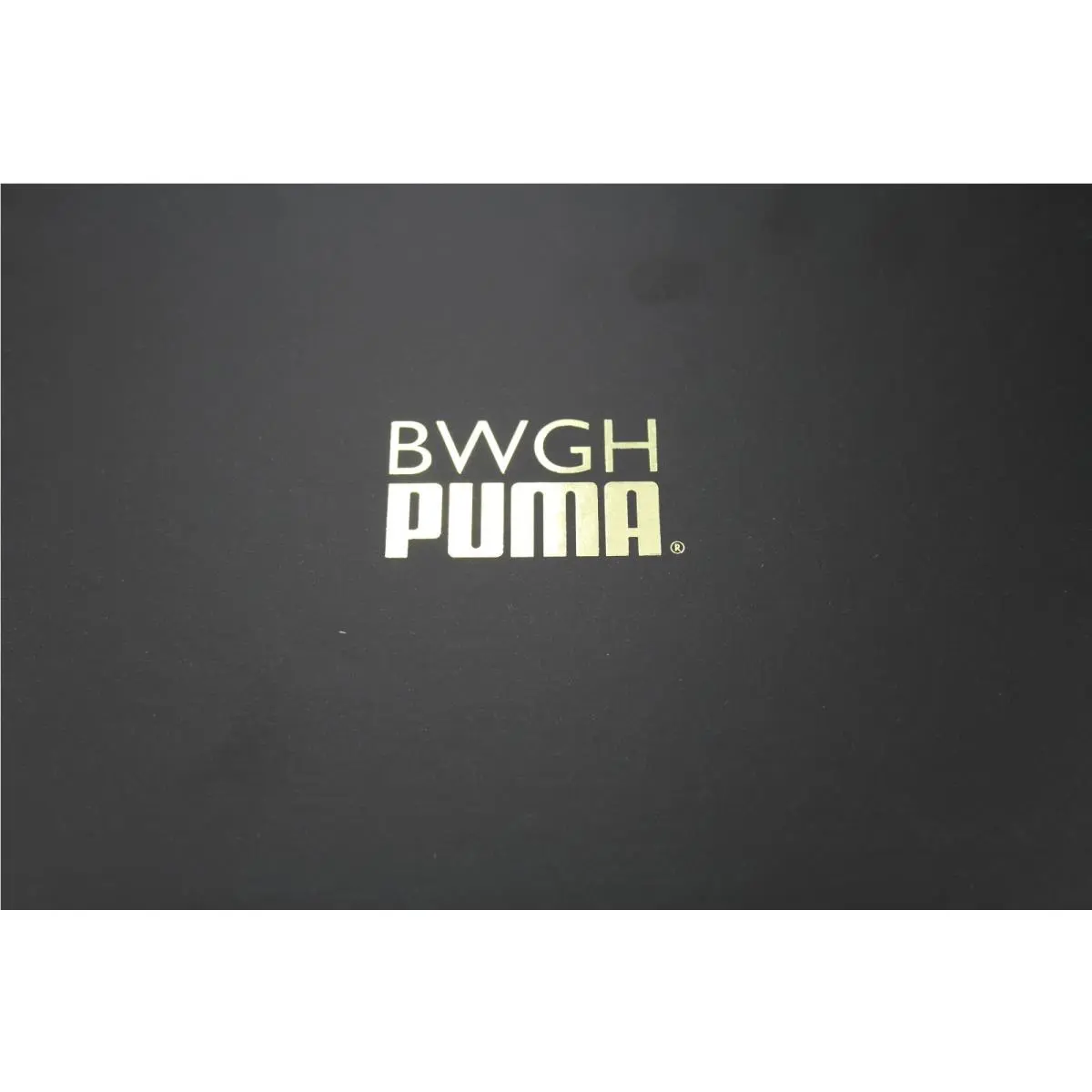 Puma shoes - PUMA XT2 - 357739-02 - Gray 14
