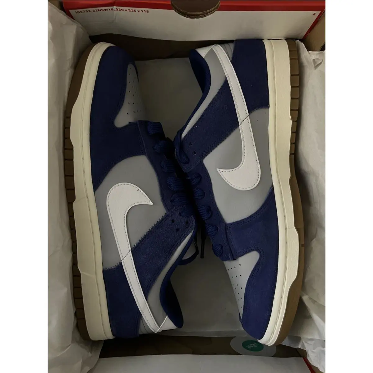 Nike shoes - Nike Dunk SE - Dunk - IB6399-003 - Blue 12