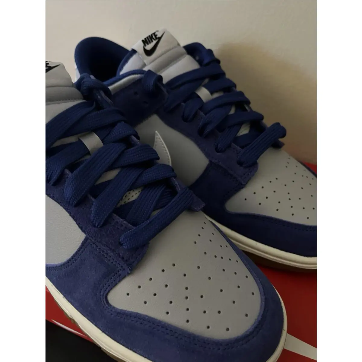 Nike shoes - Nike Dunk SE - Dunk - IB6399-003 - Blue 5