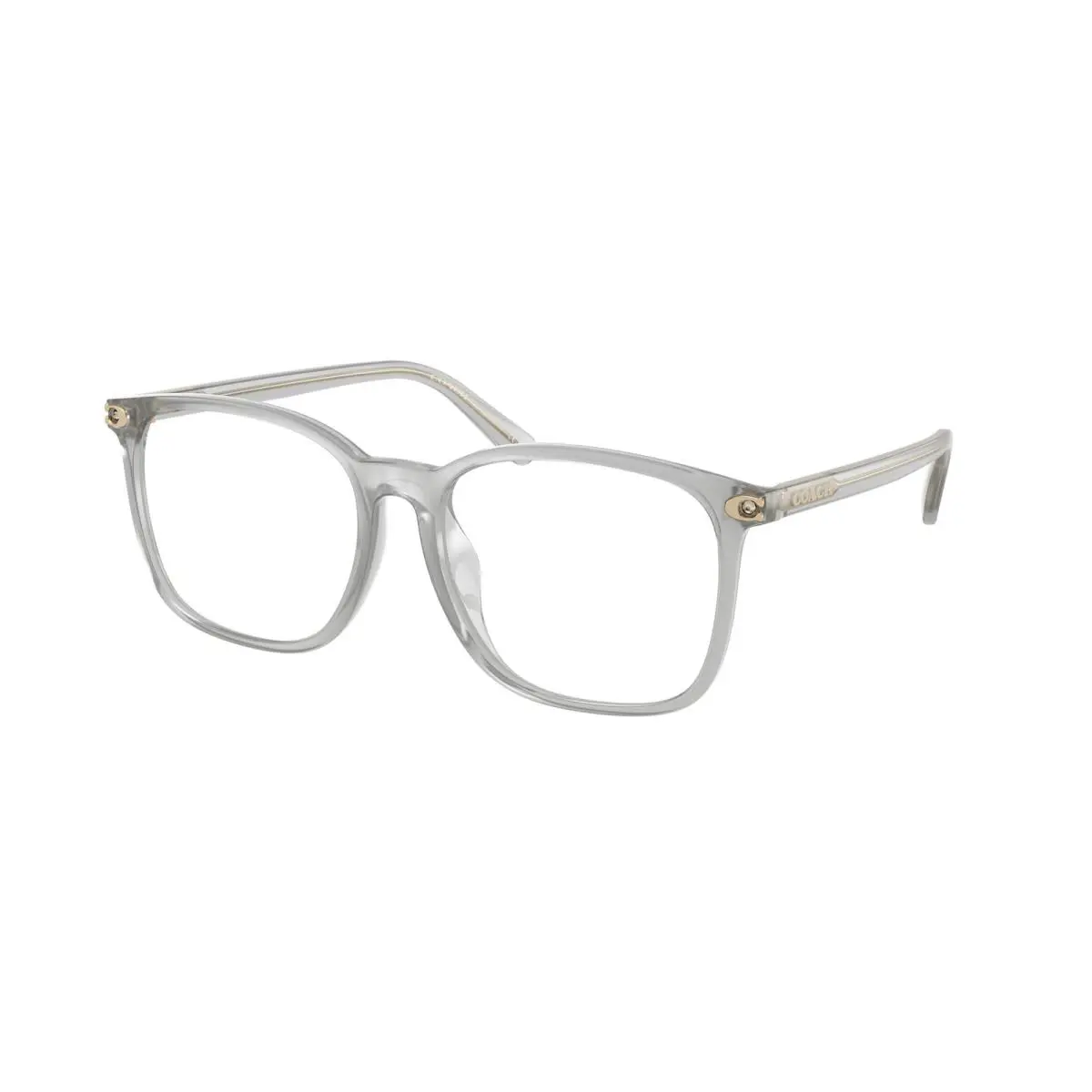 Coach HC 6254BD Transparent Dove 5614 Eyeglasses