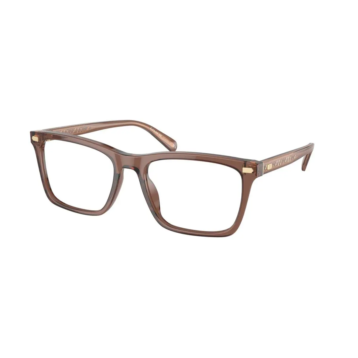 Coach HC 6238U Transparent Pecan 5819 Eyeglasses