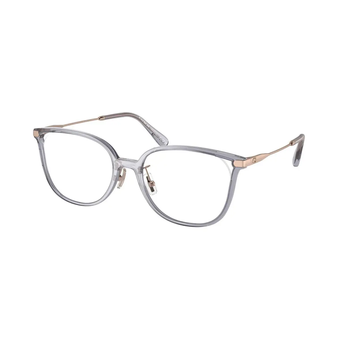Coach HC 6214D Transparent Purple 5568 Eyeglasses