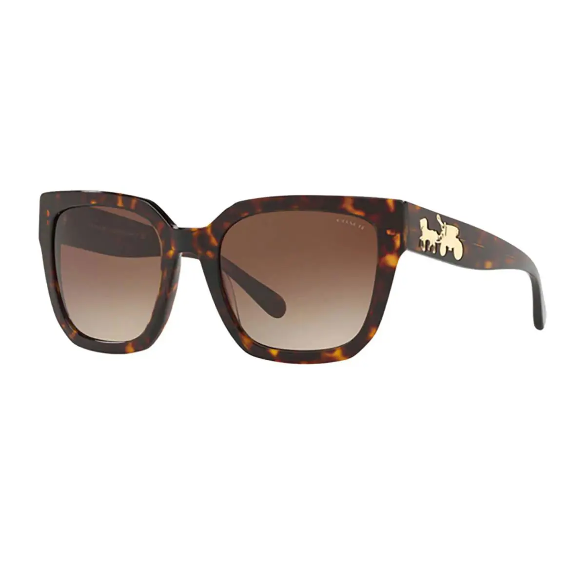Coach Sunglasses Frame HC8249 541713 53 Square Tortoise Gold Coach Logo and Case