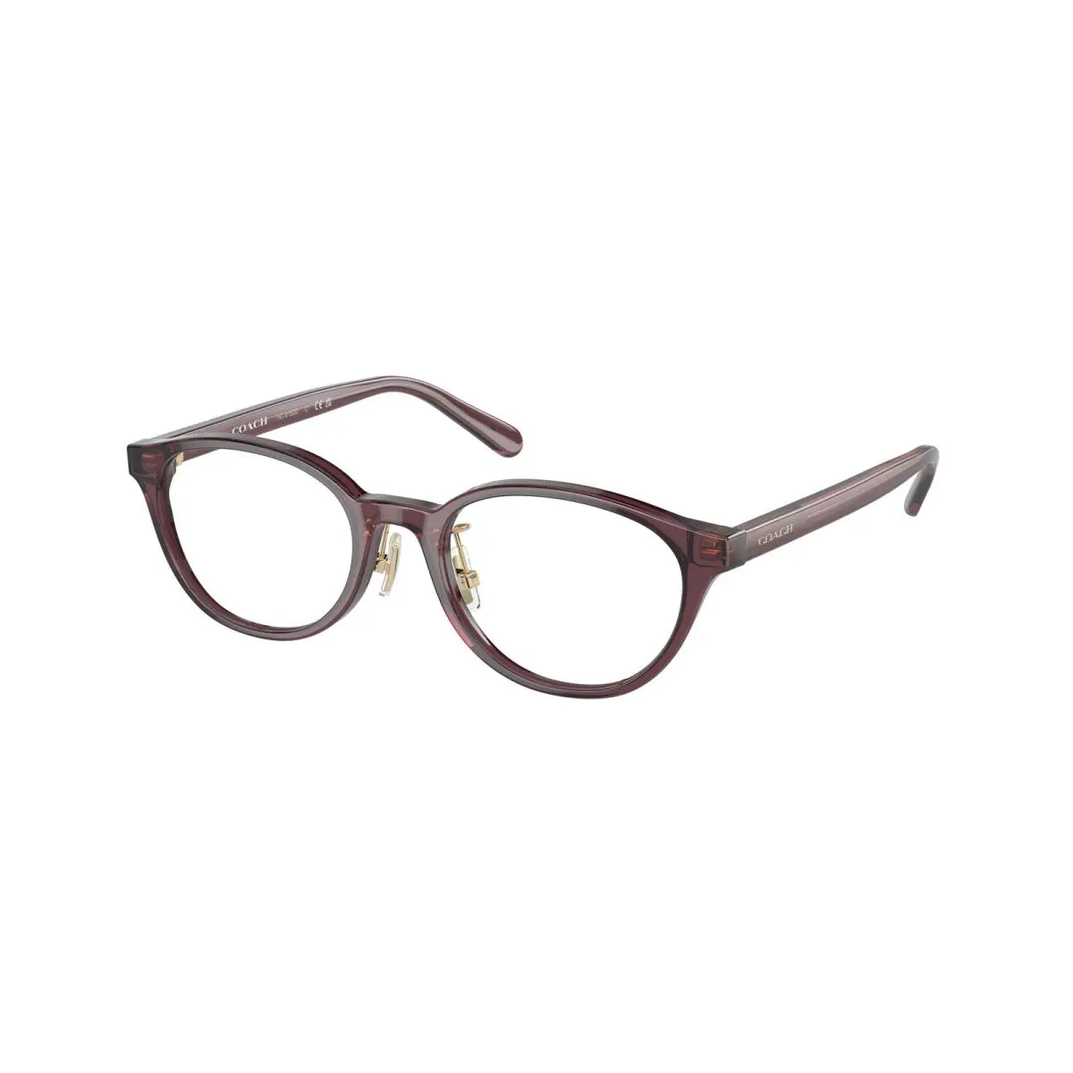 Coach HC 6152D Transparent Mauve 5677 Eyeglasses