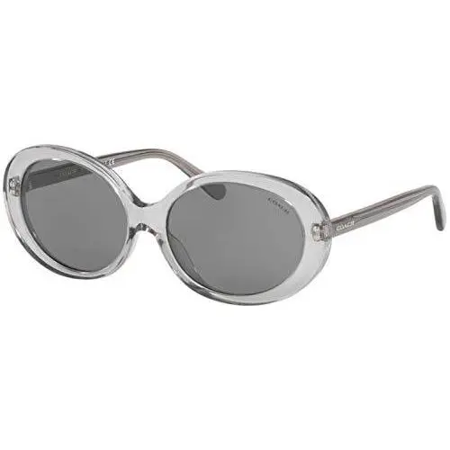 Coach Sunglasses HC8270U 517687 55mm L1100 Transparent Grey Dark Grey