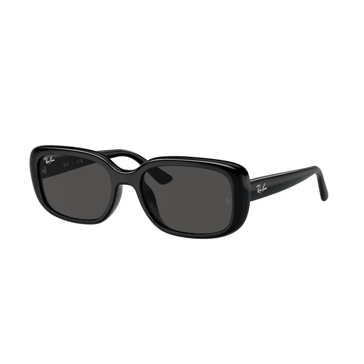 Ray-ban RB 4421D Black Dark Grey 667787 Sunglasses