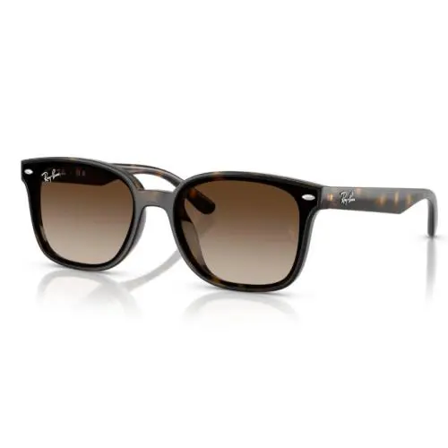 Ray-ban RB4461D 710/13 Women s Square Black Frame Brown Lens 64-17-145