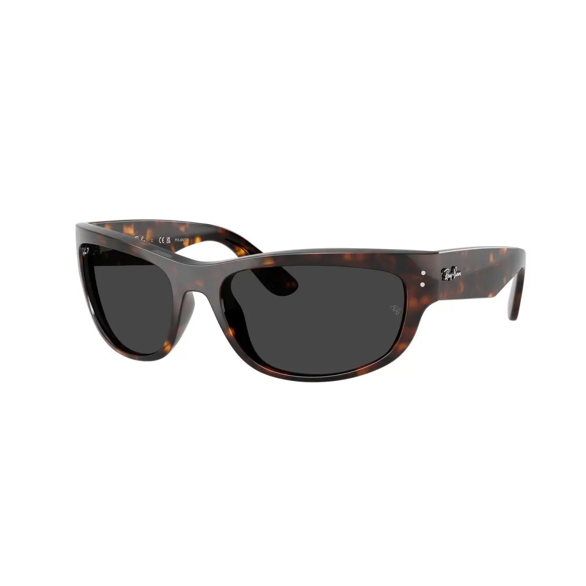 Ray-ban RB 2289 Mega Balorama Havana Polar Bla 902/48 Sunglasses