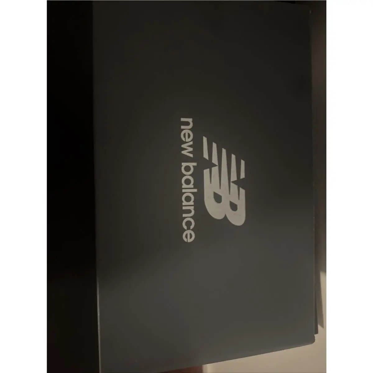 New Balance shoes - New Balance 1000 - M1000N - Silver 1