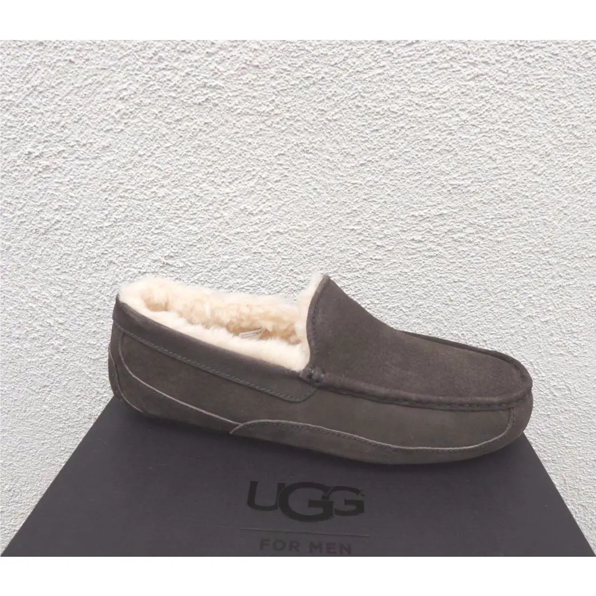 UGG shoes - UGG Ascot - Ascot - Espresso (UPC: 888855592013) 0