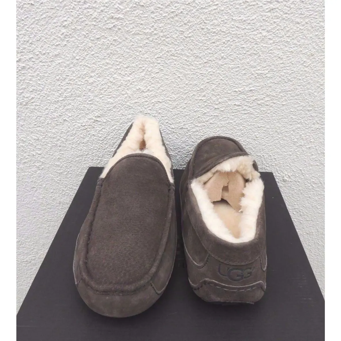 UGG shoes - UGG Ascot - Ascot - Espresso (UPC: 888855592013) 1