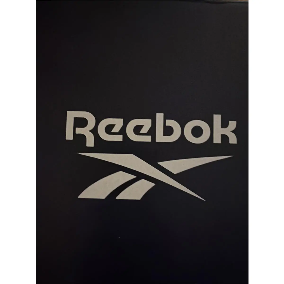Reebok shoes - White 3