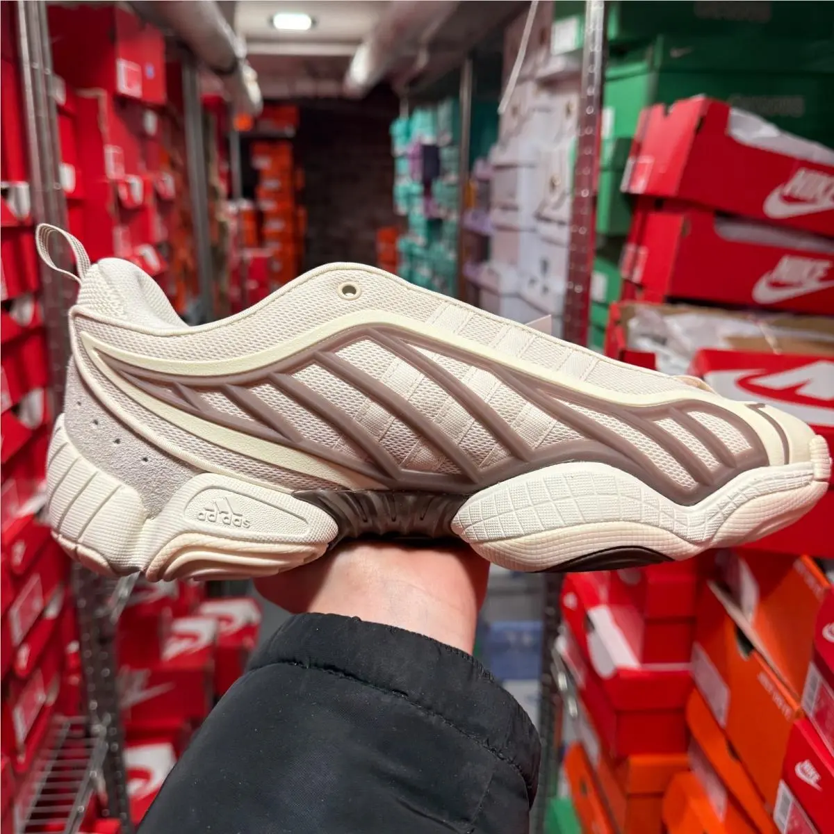 Adidas shoes - adidas Intimidation - Intimidation - White 11