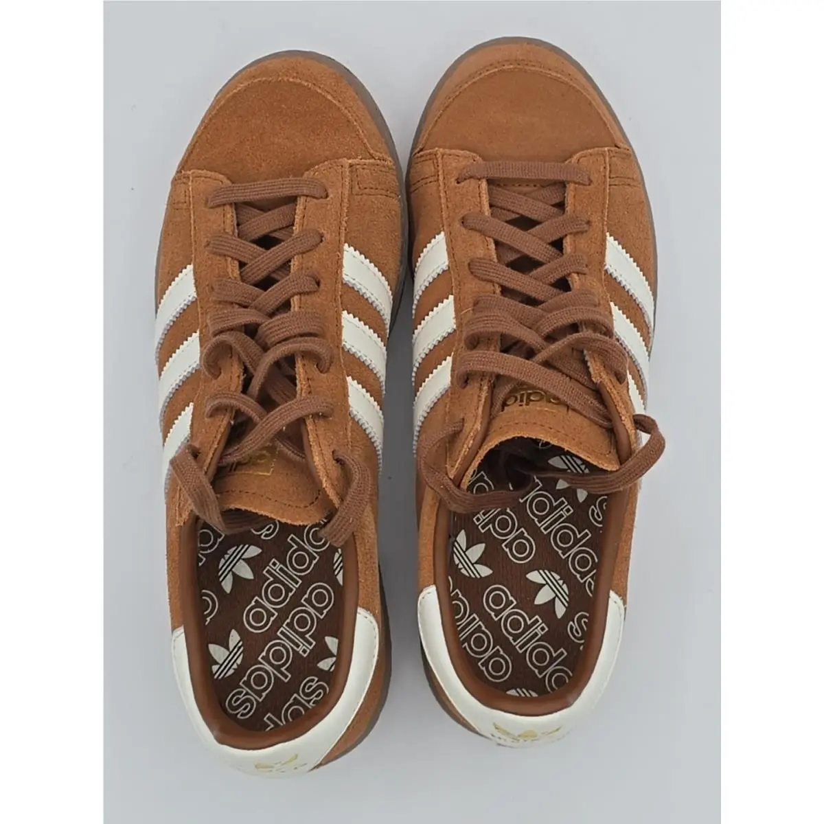 Adidas shoes - adidas Jabbar - Jabbar - HQ7489 - Brown 17