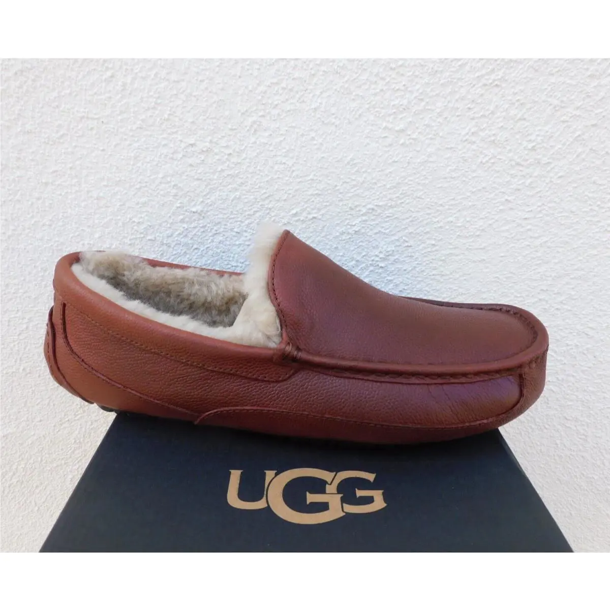 UGG shoes - UGG Ascot Scotch Grain - Ascot Scotch Grain - Brown (UPC: 888855143833) 0