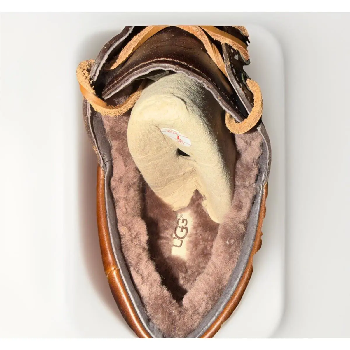 UGG shoes - Ugg Grattan - Grattan - Brown (UPC: 0737872742836) 3