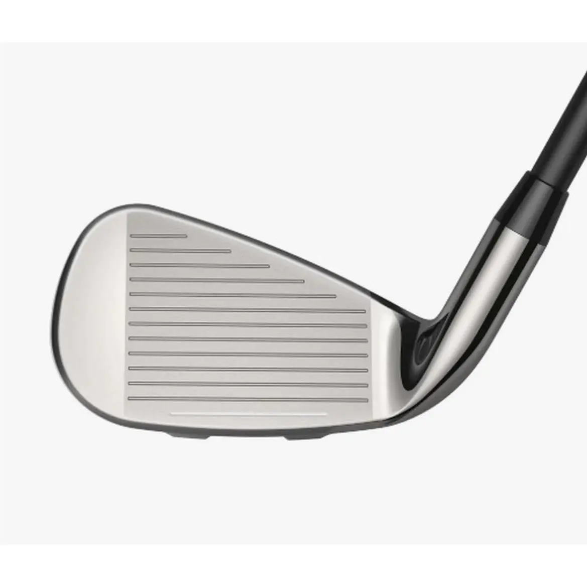 Cobra  - Baffler (2025) - Baffler - Black/Silver 1