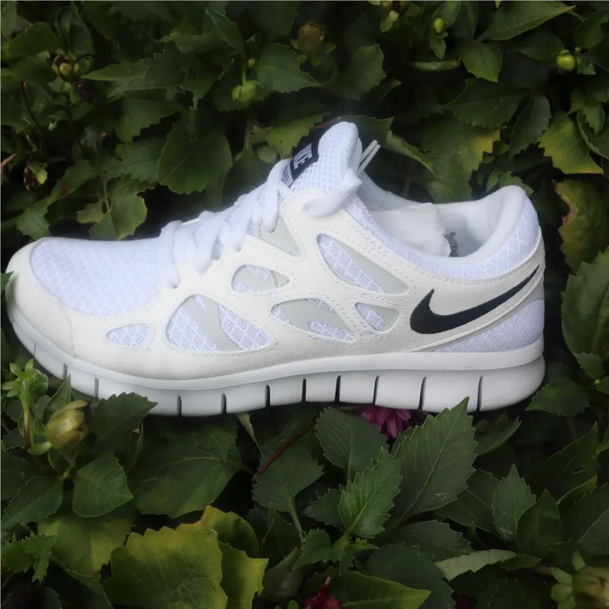 Nike shoes - Nike Free Run 2 - Free Run - DD0163-100 - White/Black 7