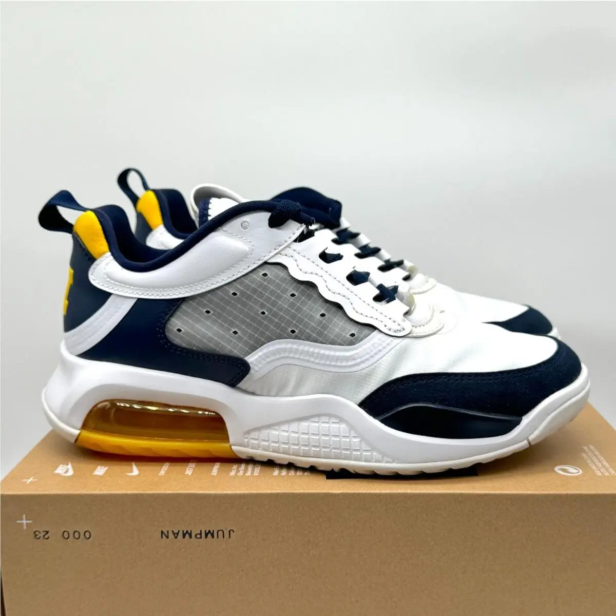 Nike Mens UM Jordan Max 200 University Michigan Sz 7.5 CZ4946-147 Wolverines