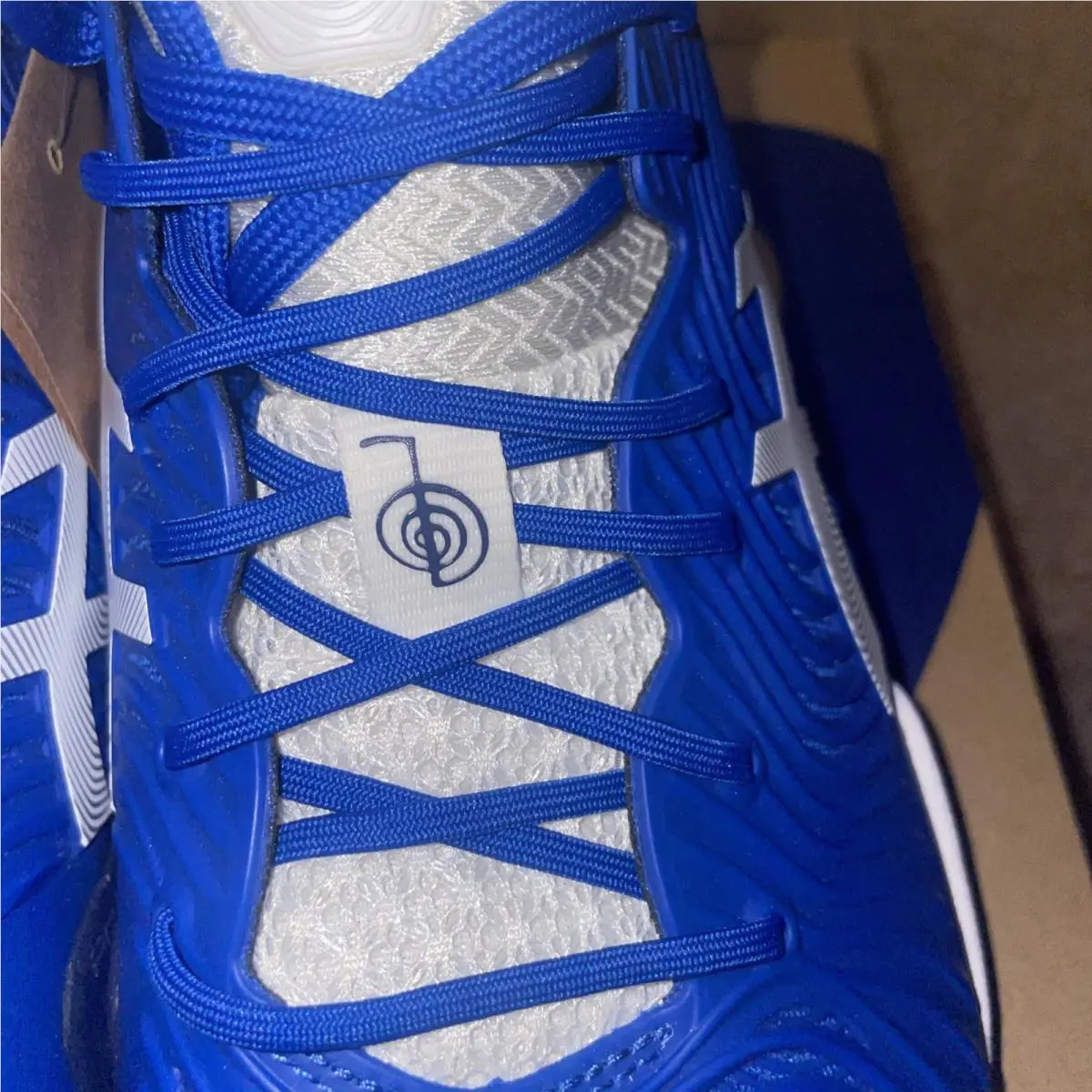 Asics shoes - ASICS Court FF - Court - Blue 1