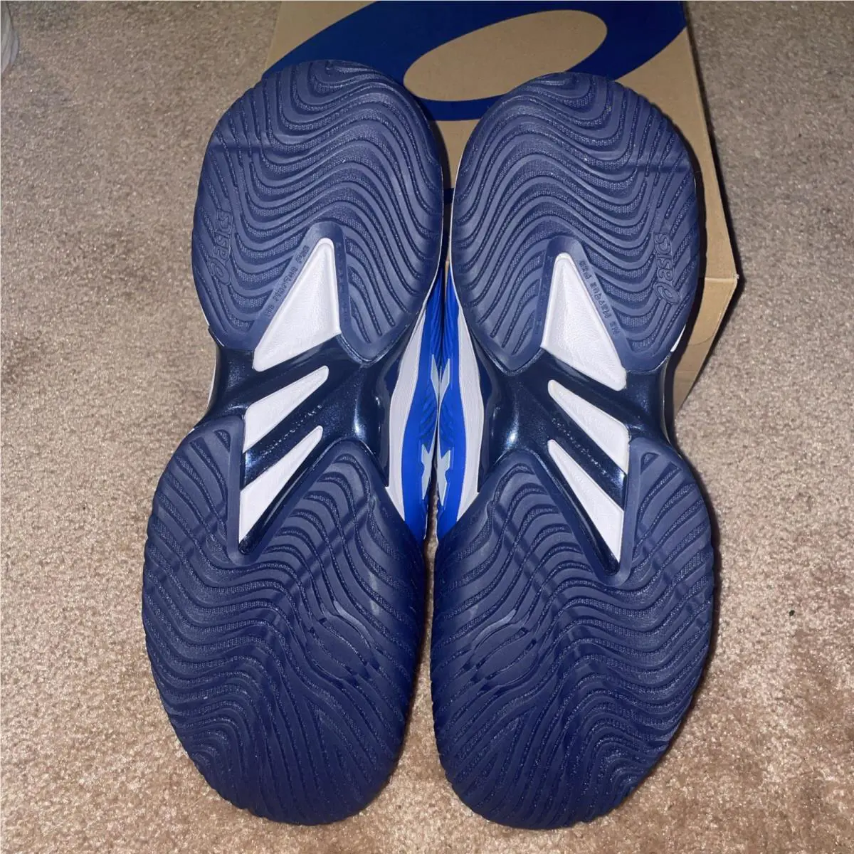 Asics shoes - ASICS Court FF - Court - Blue 5
