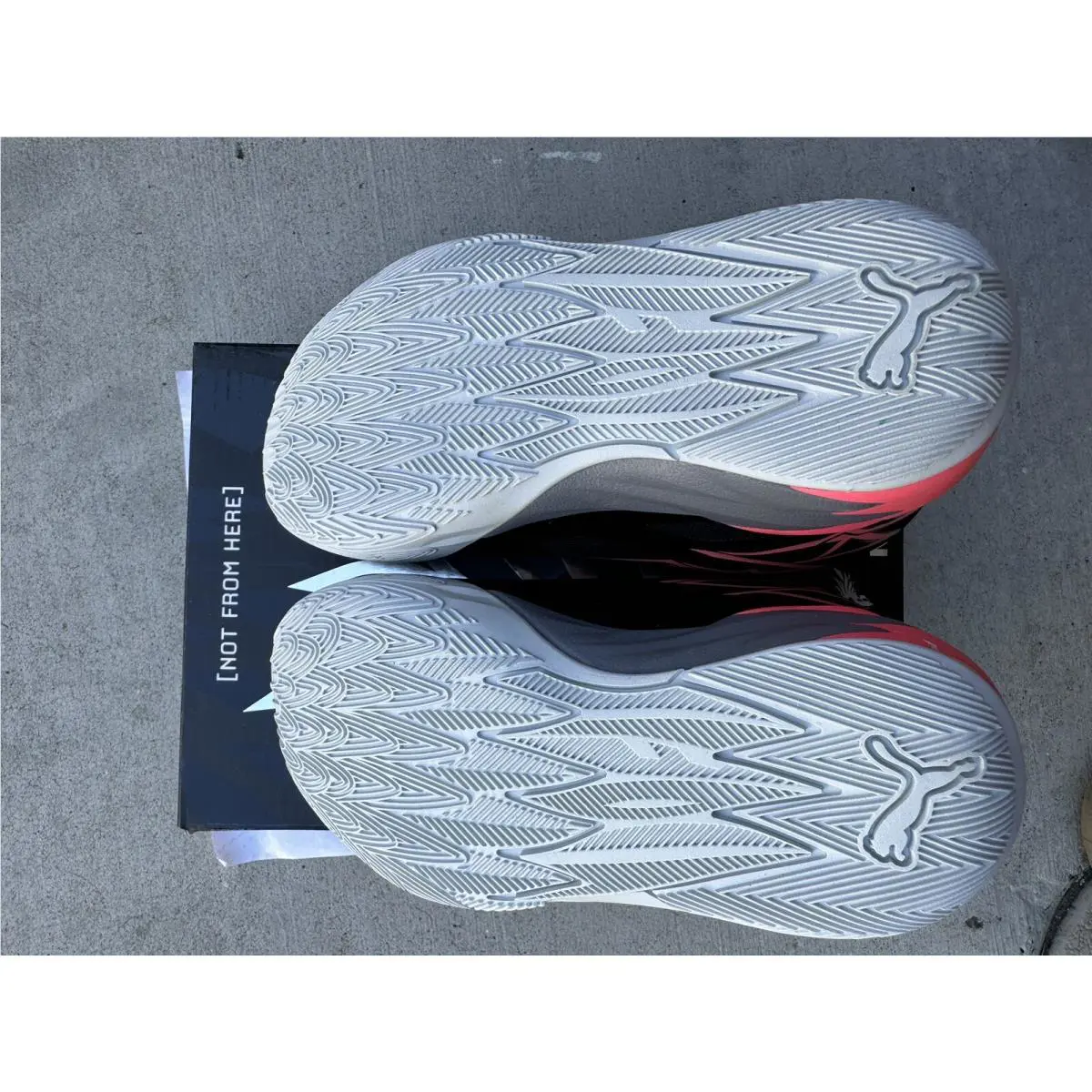 Puma shoes - Sunset Glow - Sunset Glow - Black (UPC: 0195552384248) 3